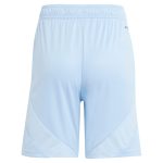 aston villa adidas away shorts 2024-25 with custom printing Collection | Aston Villa Jerseys for True Fans