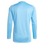 aston villa adidas goalkeeper shirt 2024-25 – long sleeve – 201964005 with custom printing Collection | Aston Villa Jerseys for True Fans