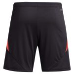aston villa adidas goalkeeper shorts 2024-25 – 201964002 with custom printing Collection | Aston Villa Jerseys for True Fans