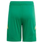 aston villa adidas goalkeeper shorts 2024-25 – 201964010 Collection | Aston Villa Jerseys for True Fans