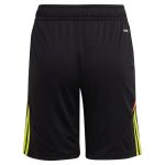 aston villa adidas goalkeeper shorts 2024-25 – kids – 201964004 with custom printing Collection | Aston Villa Jerseys for True Fans