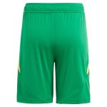 aston villa adidas goalkeeper shorts 2024-25 – kids – 201964012 with custom printing Collection | Aston Villa Jerseys for True Fans