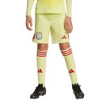 aston villa adidas goalkeeper shorts 2025-26 – kids with custom printing Collection | Aston Villa Jerseys for True Fans