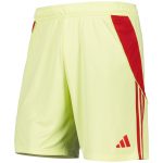 aston villa adidas goalkeeper shorts 2025-26 with custom printing Collection | Aston Villa Jerseys for True Fans
