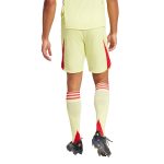 aston villa adidas goalkeeper shorts 2025-26 with custom printing Collection | Aston Villa Jerseys for True Fans