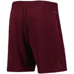 aston villa adidas home change shorts 2024-25 with custom printing Collection | Aston Villa Jerseys for True Fans
