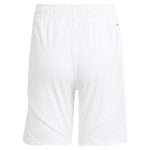 aston villa adidas home shorts 2024-25 with custom printing Collection | Aston Villa Jerseys for True Fans